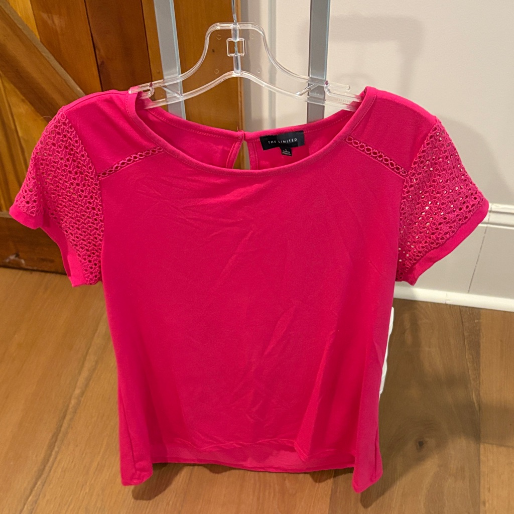The Limited Pink Shirt